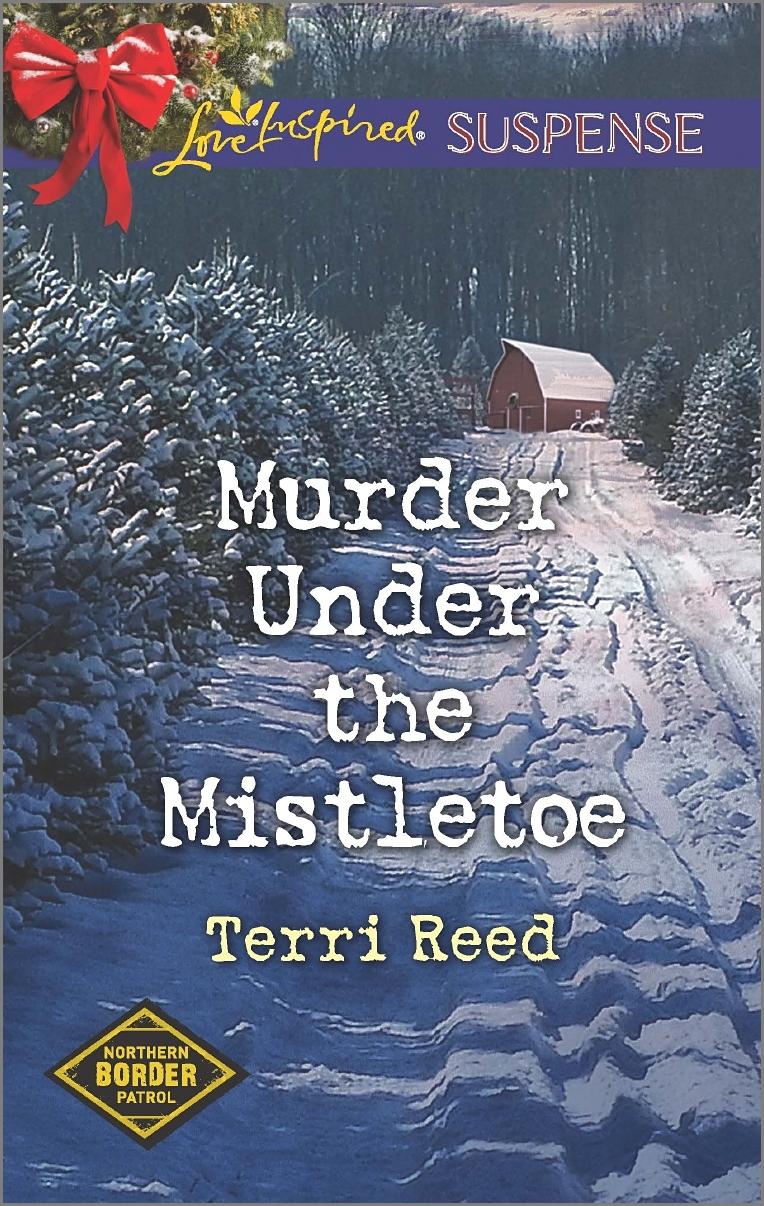 Murder Under the Mistletoe book cover