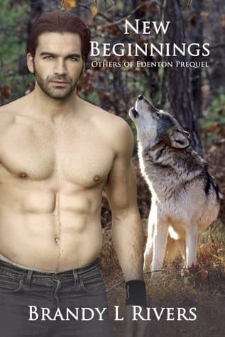 New Beginnings book cover