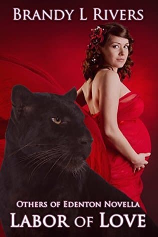 Labor of Love book cover