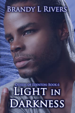 Light In Darkness book cover
