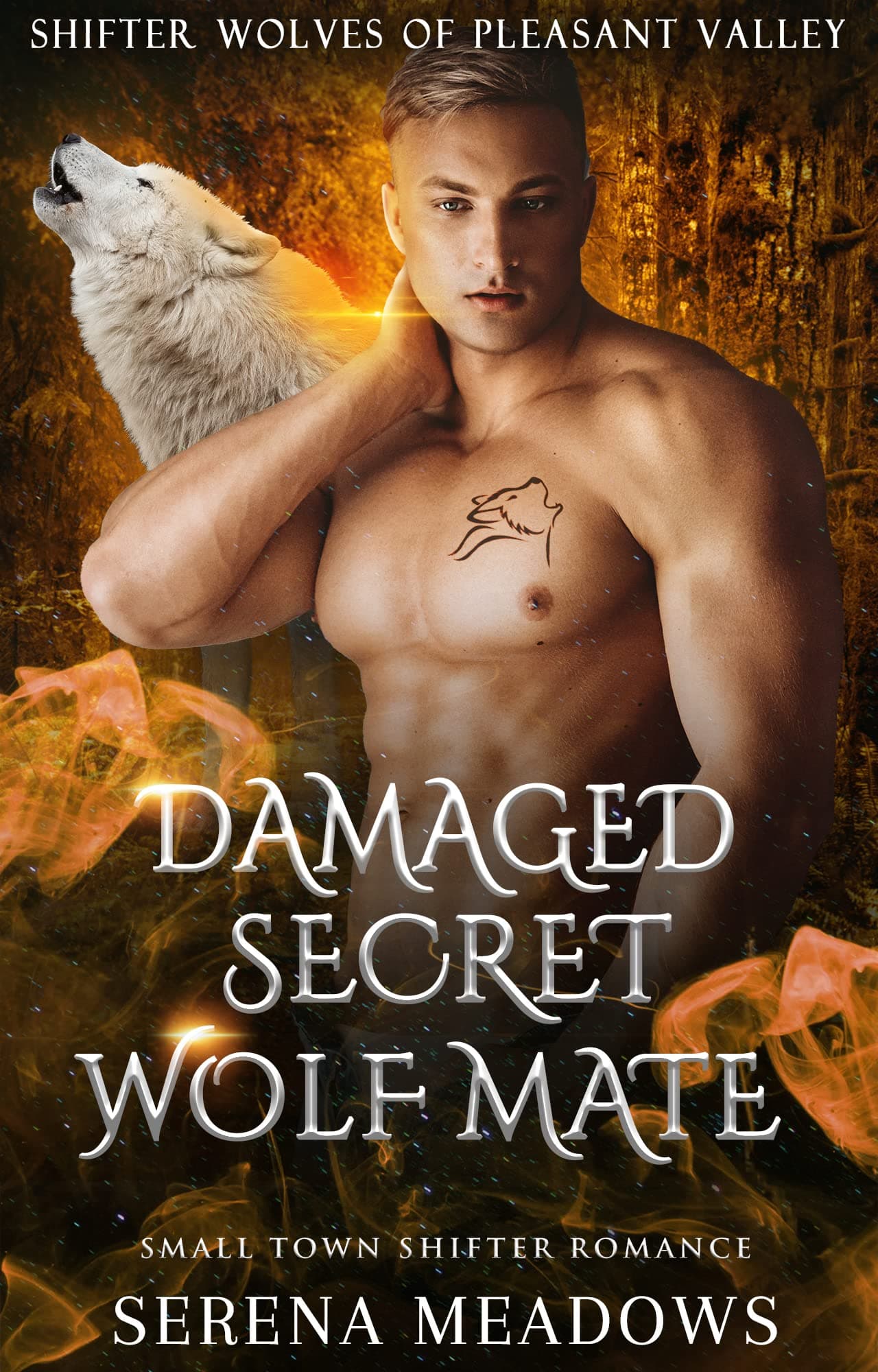 Damaged Secret Wolf Mate book cover
