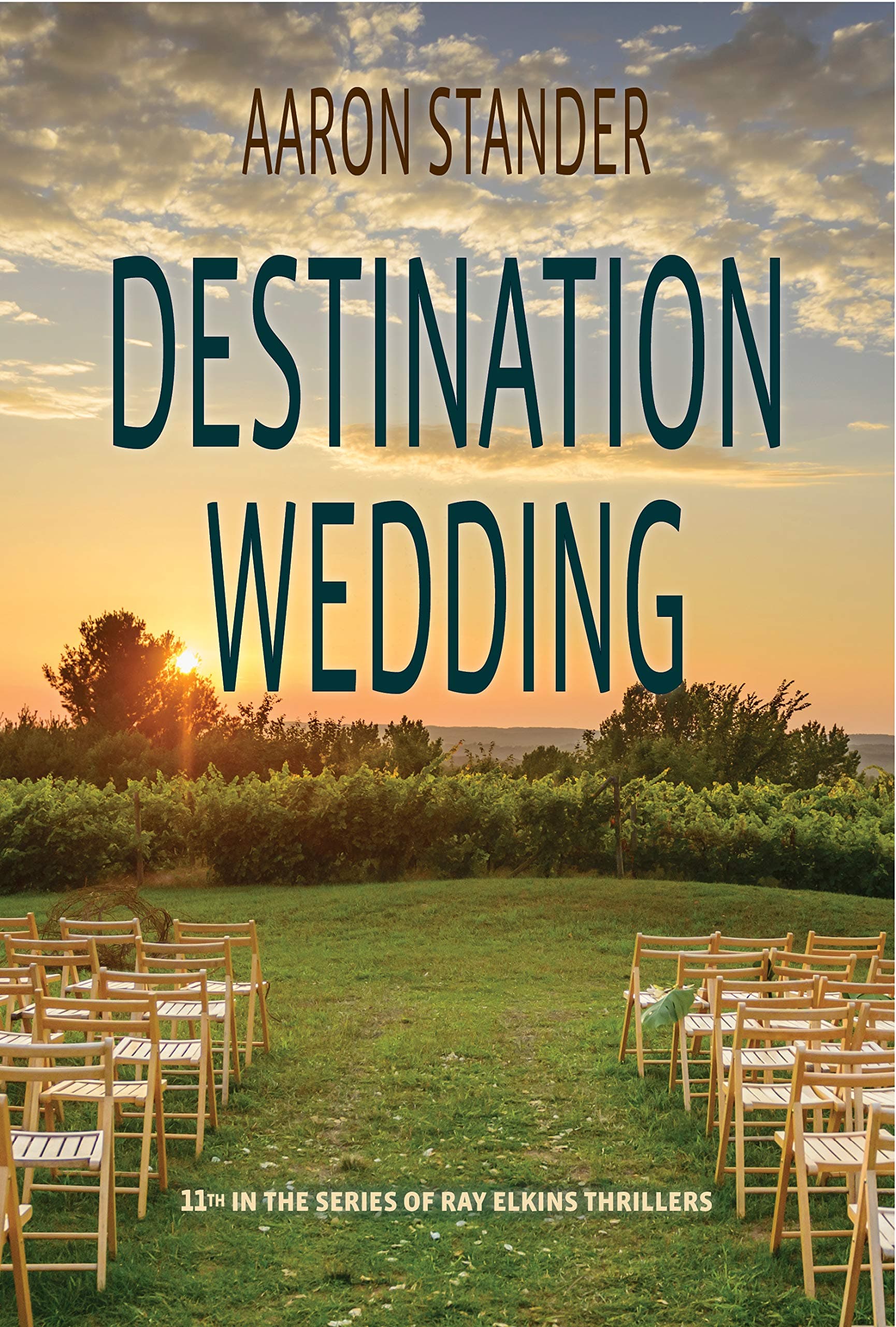 Destination Wedding book cover