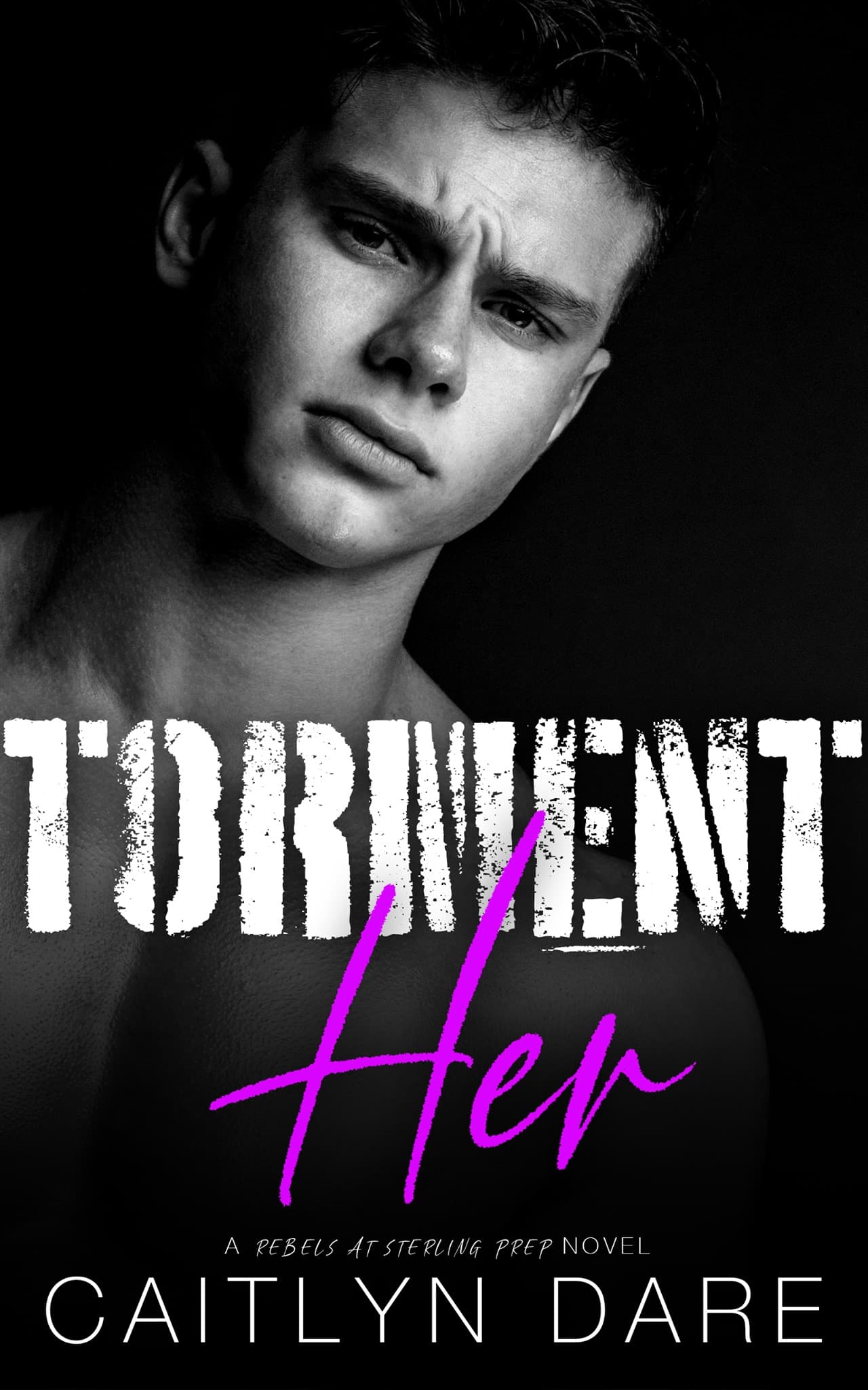 Torment Her book cover