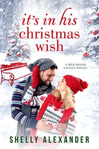 It's In His Christmas Wish book cover