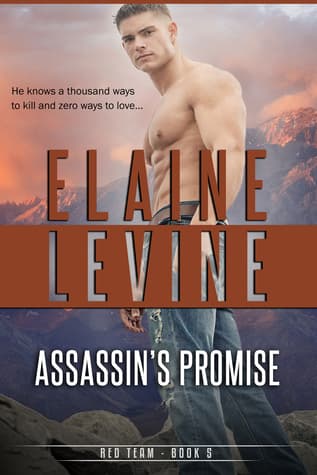 Assassin's Promise book cover