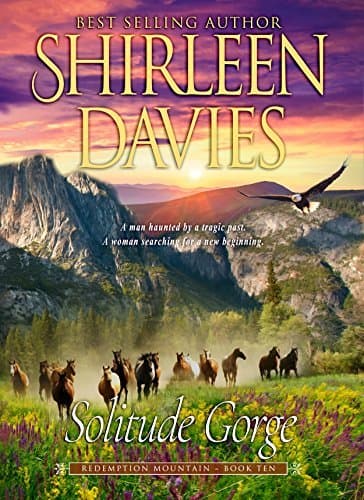 Solitude Gorge book cover