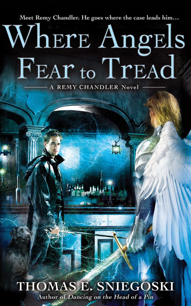 Where Angels Fear to Tread: A Remy Chandler Novel book cover