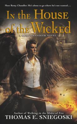 In the House of the Wicked: A Remy Chandler Novel book cover