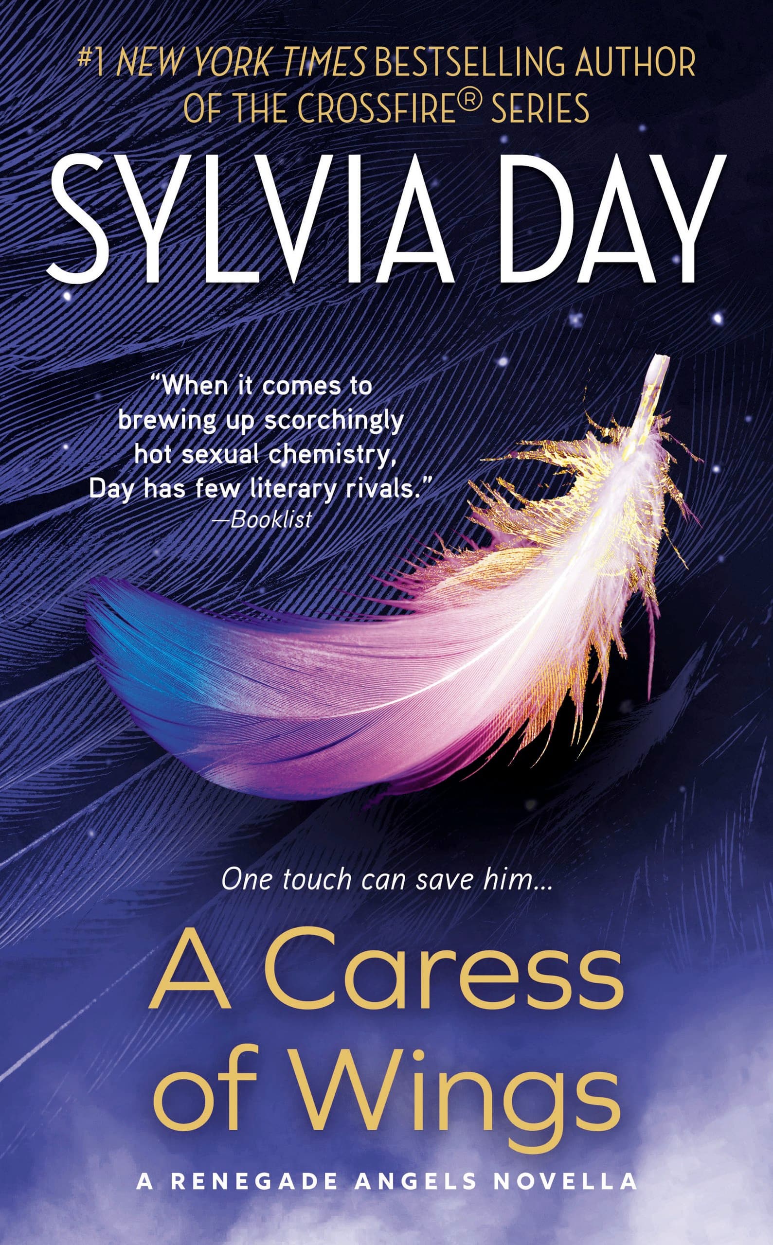 A Caress of Wings book cover