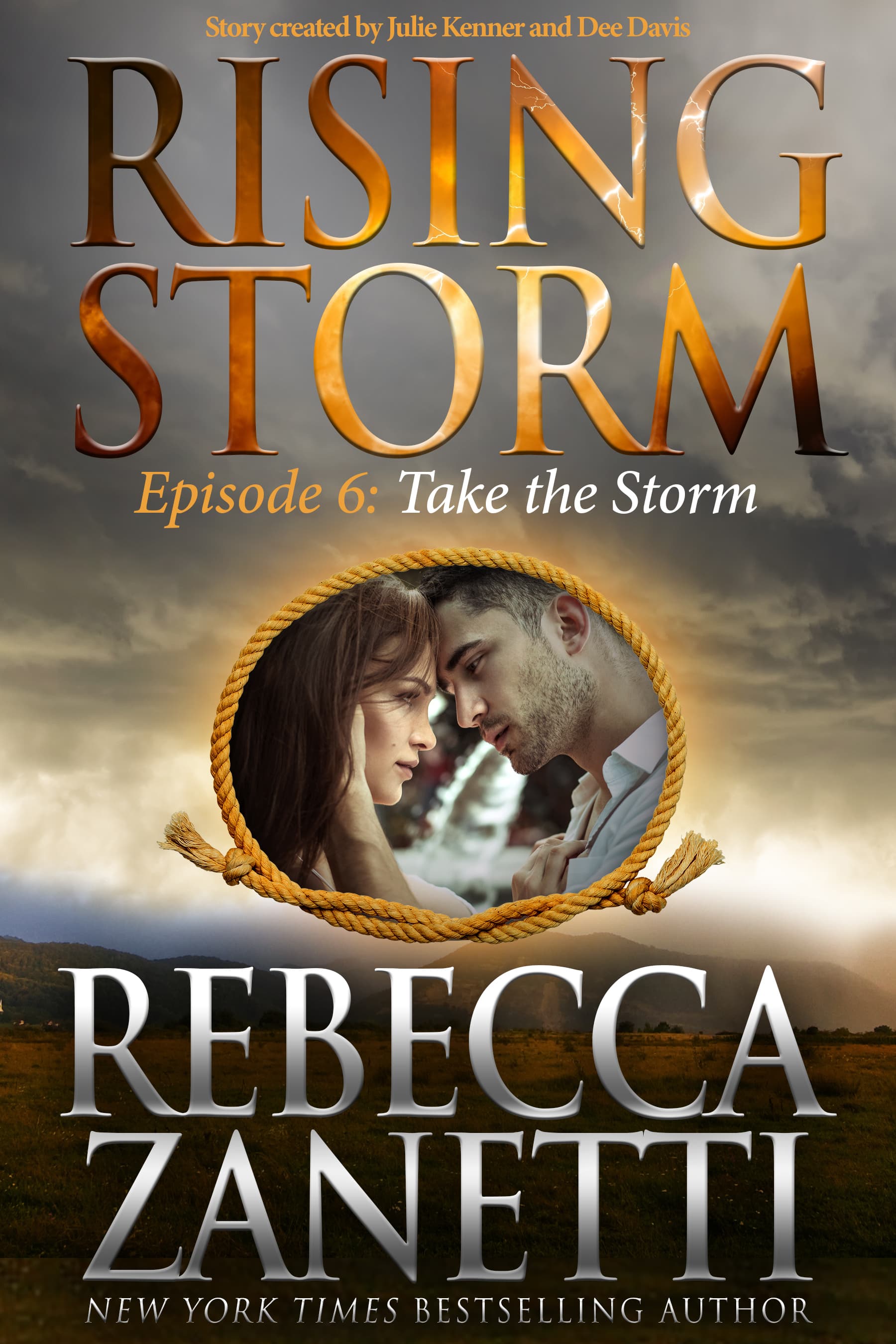 Take the Storm book cover