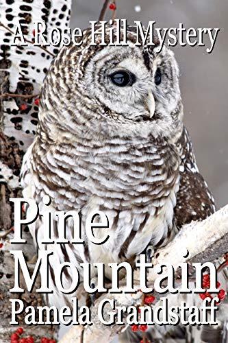 Pine Mountain book cover