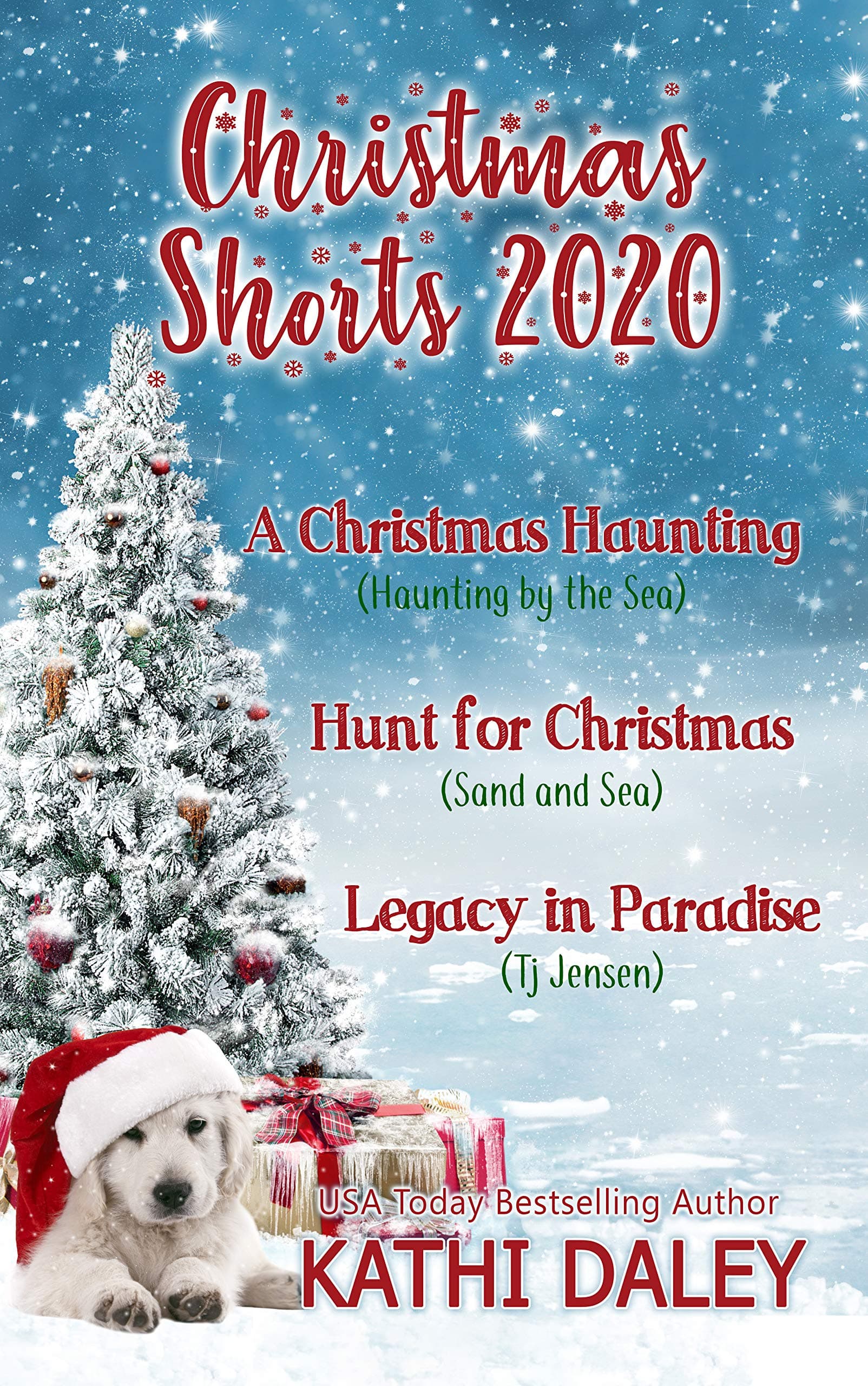 Hunt for Christmas book cover