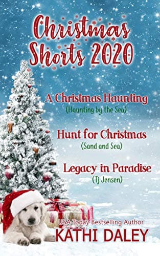 Christmas Shorts 2020 book cover