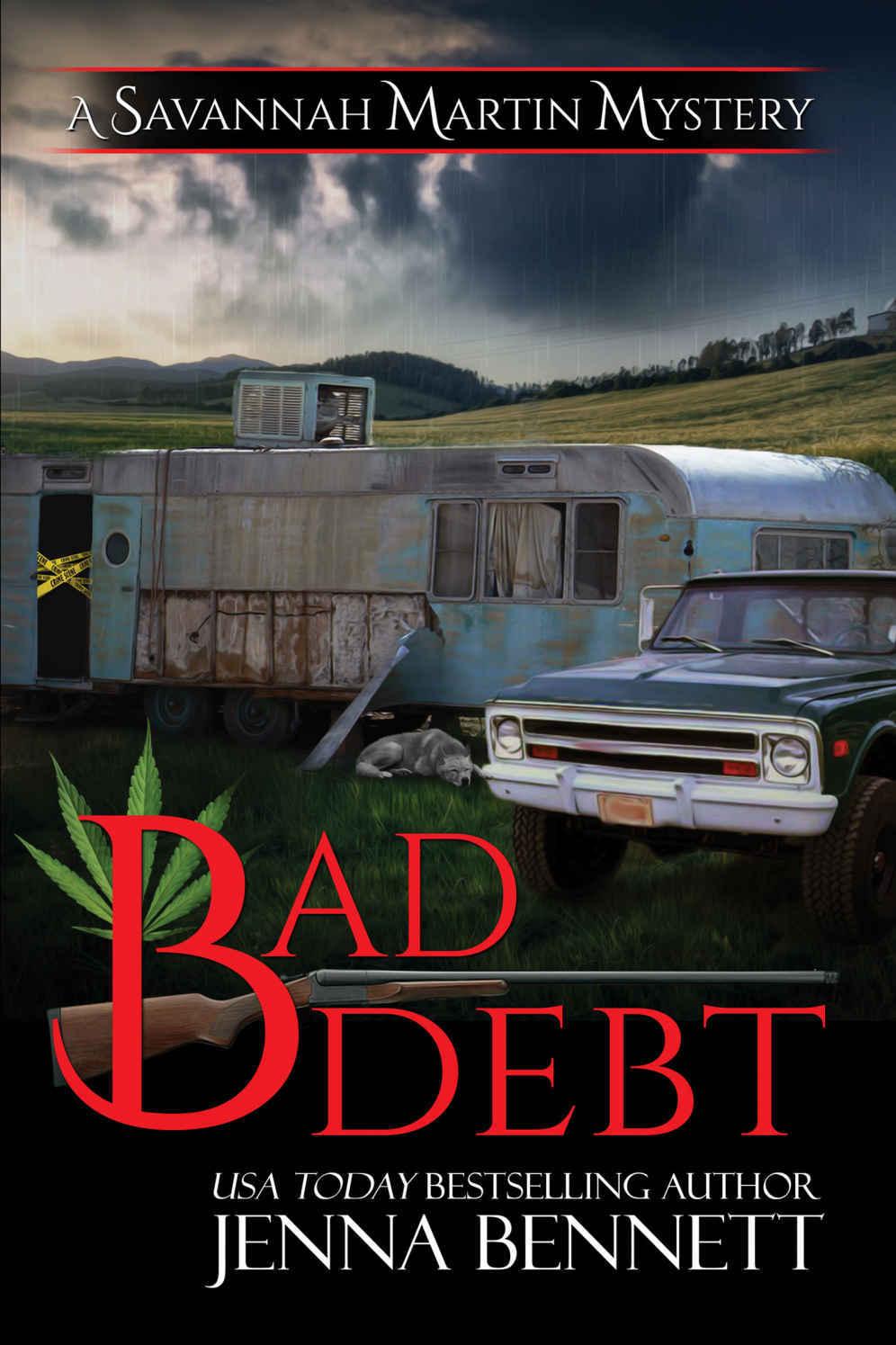 Bad Debt book cover