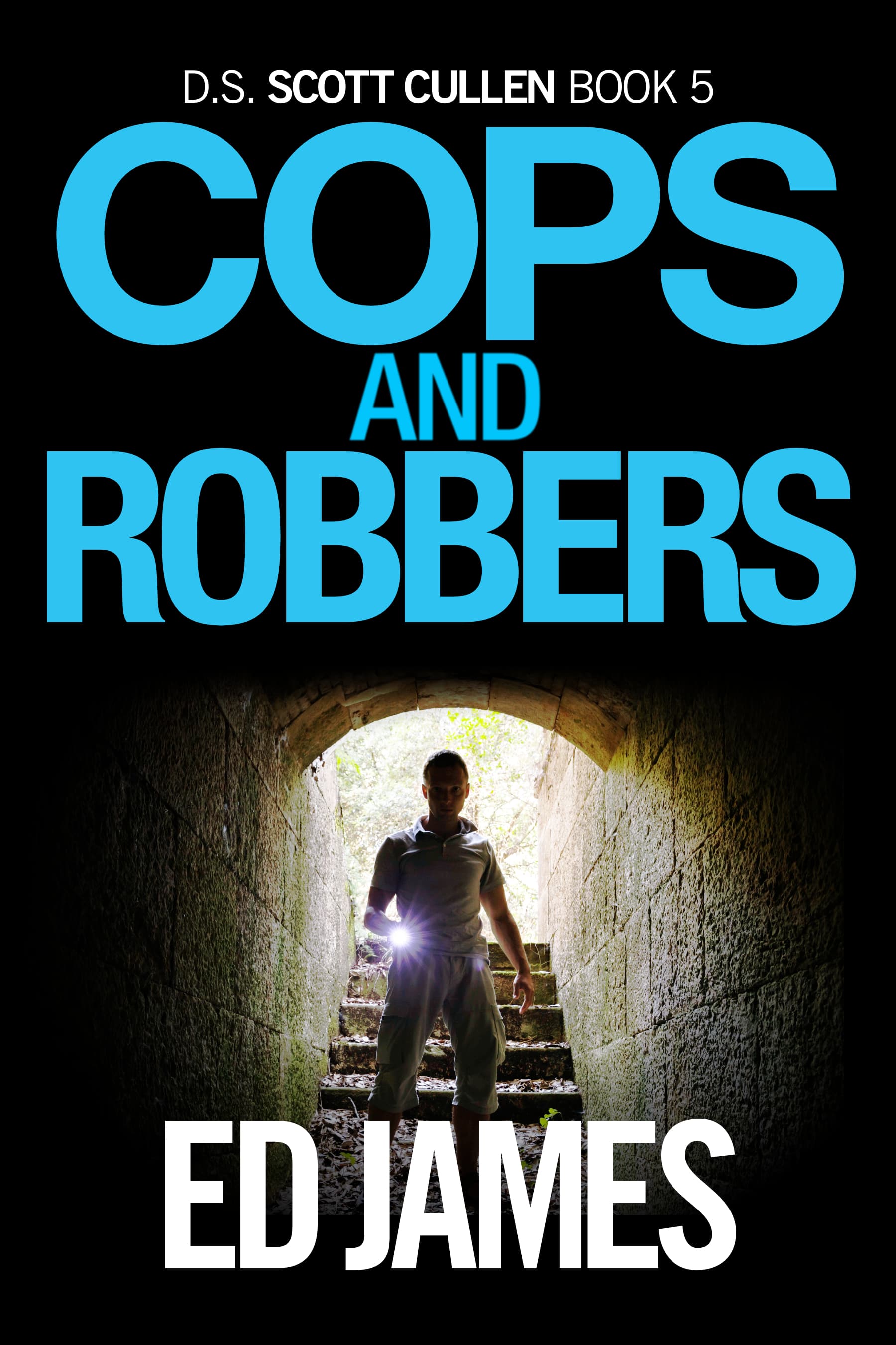 Cops and Robbers