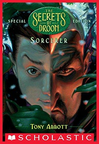 Sorcerer (The Secrets of Droon: Special Edition #4) book cover