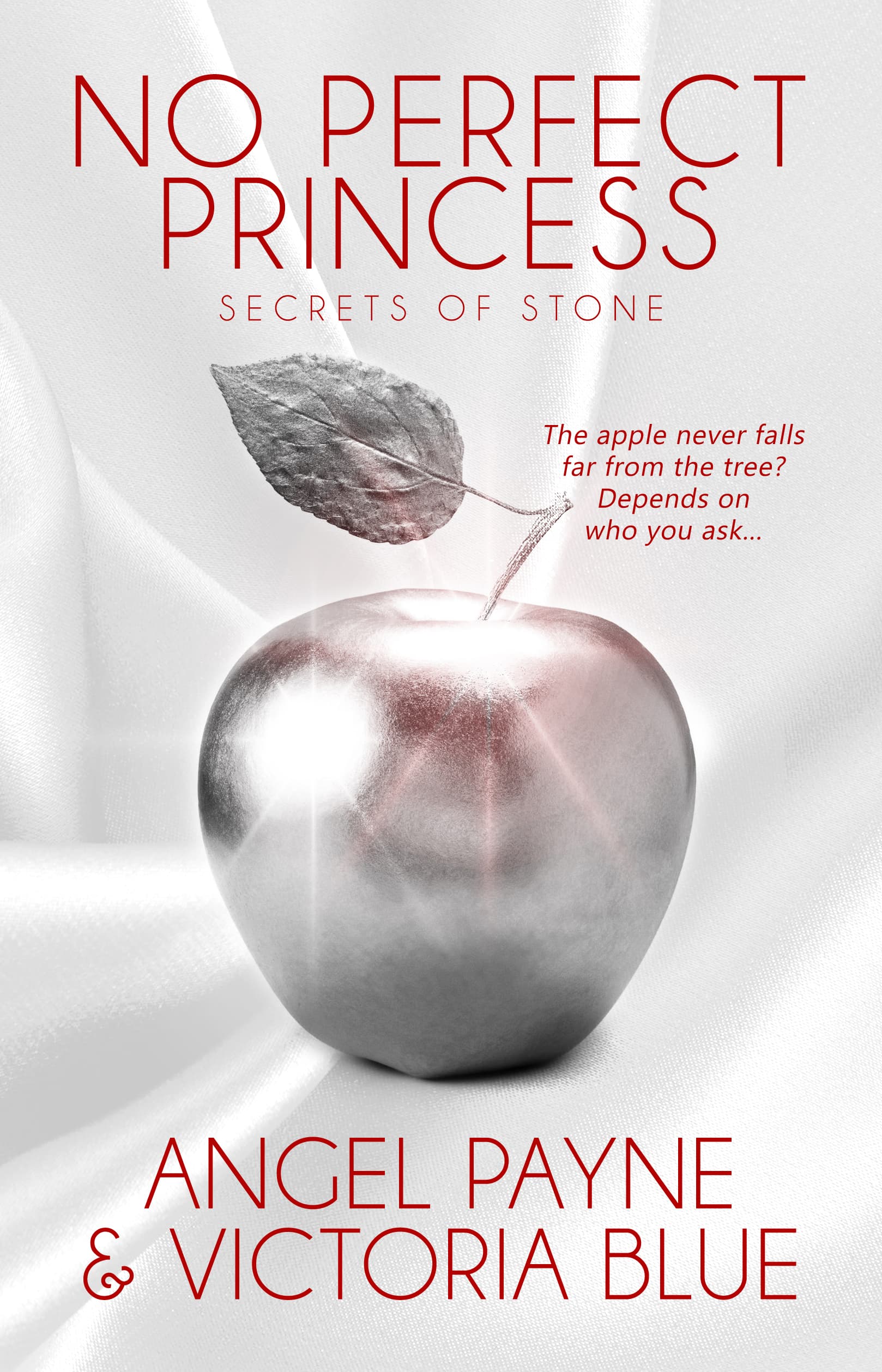 No Perfect Princess book cover