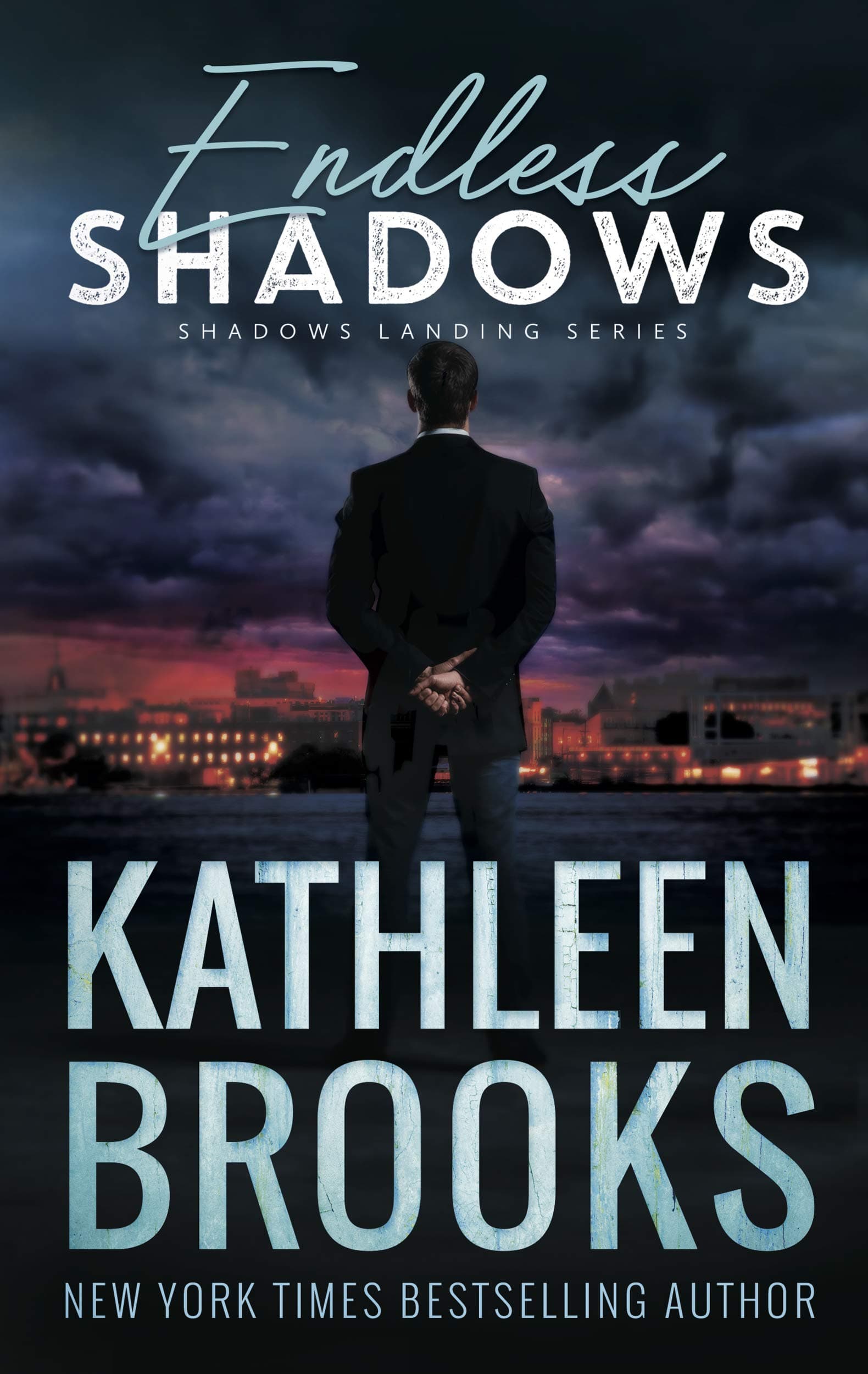 Endless Shadows book cover