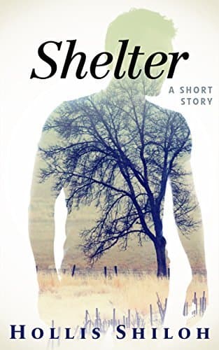 Shelter book cover