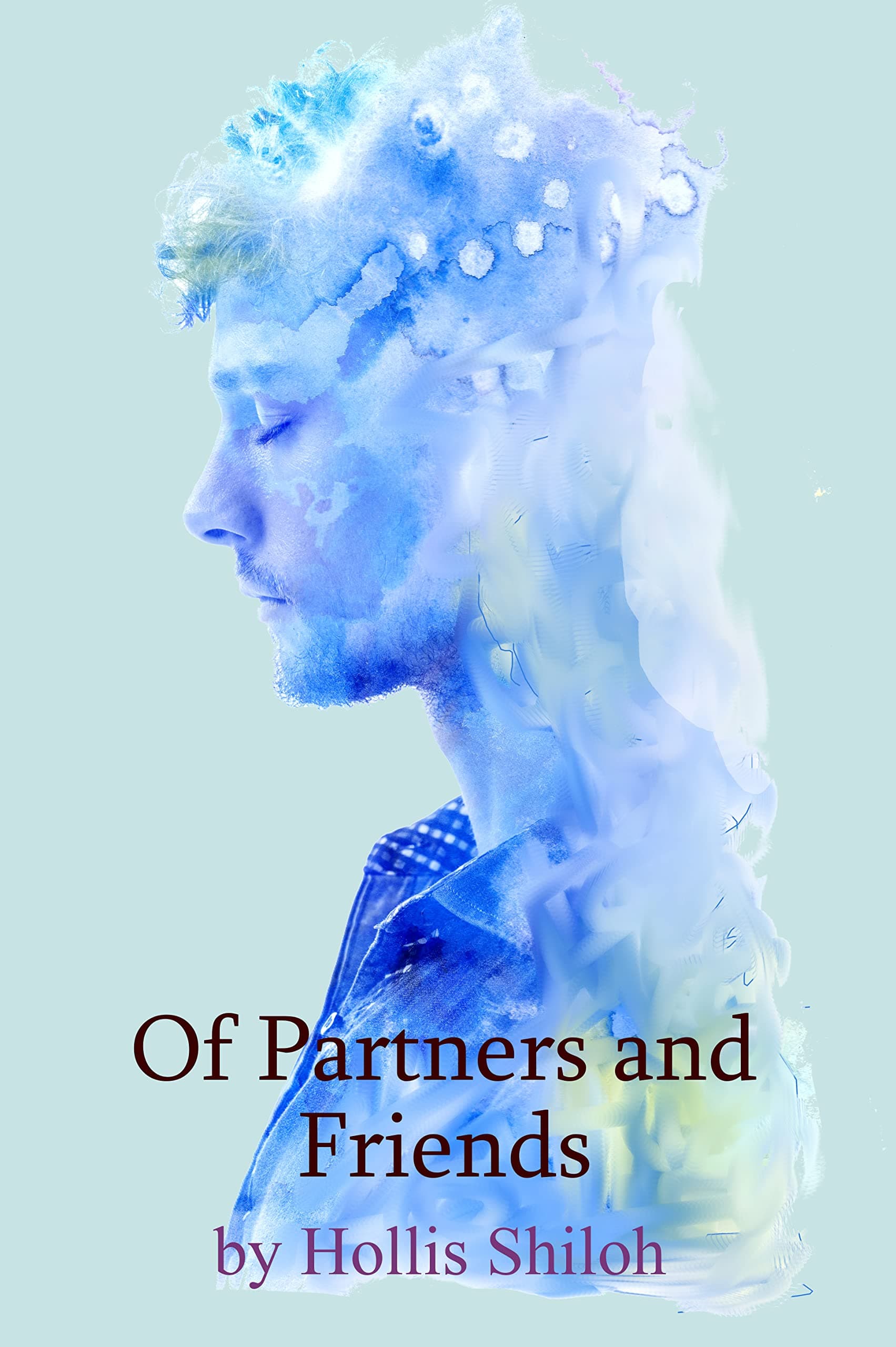 Of Partners and Friends book cover