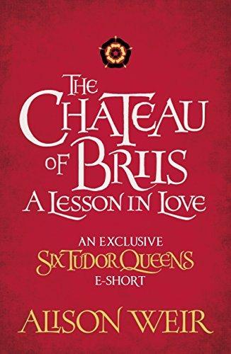 The Chateau of Briis: A Lesson in Love book cover