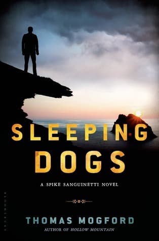 Sleeping Dogs