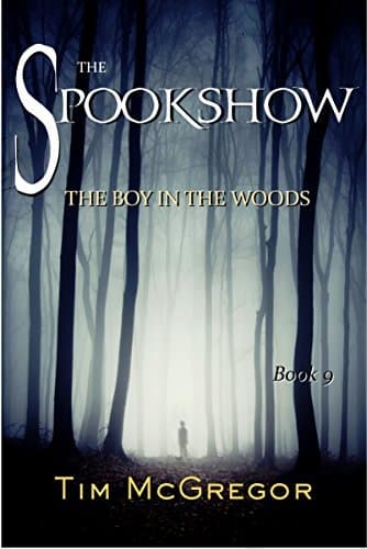 The Boy in the Woods book cover