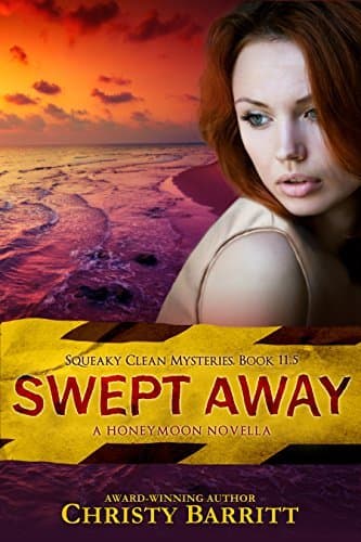 Swept Away book cover