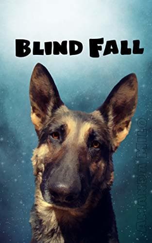 Blind Fall