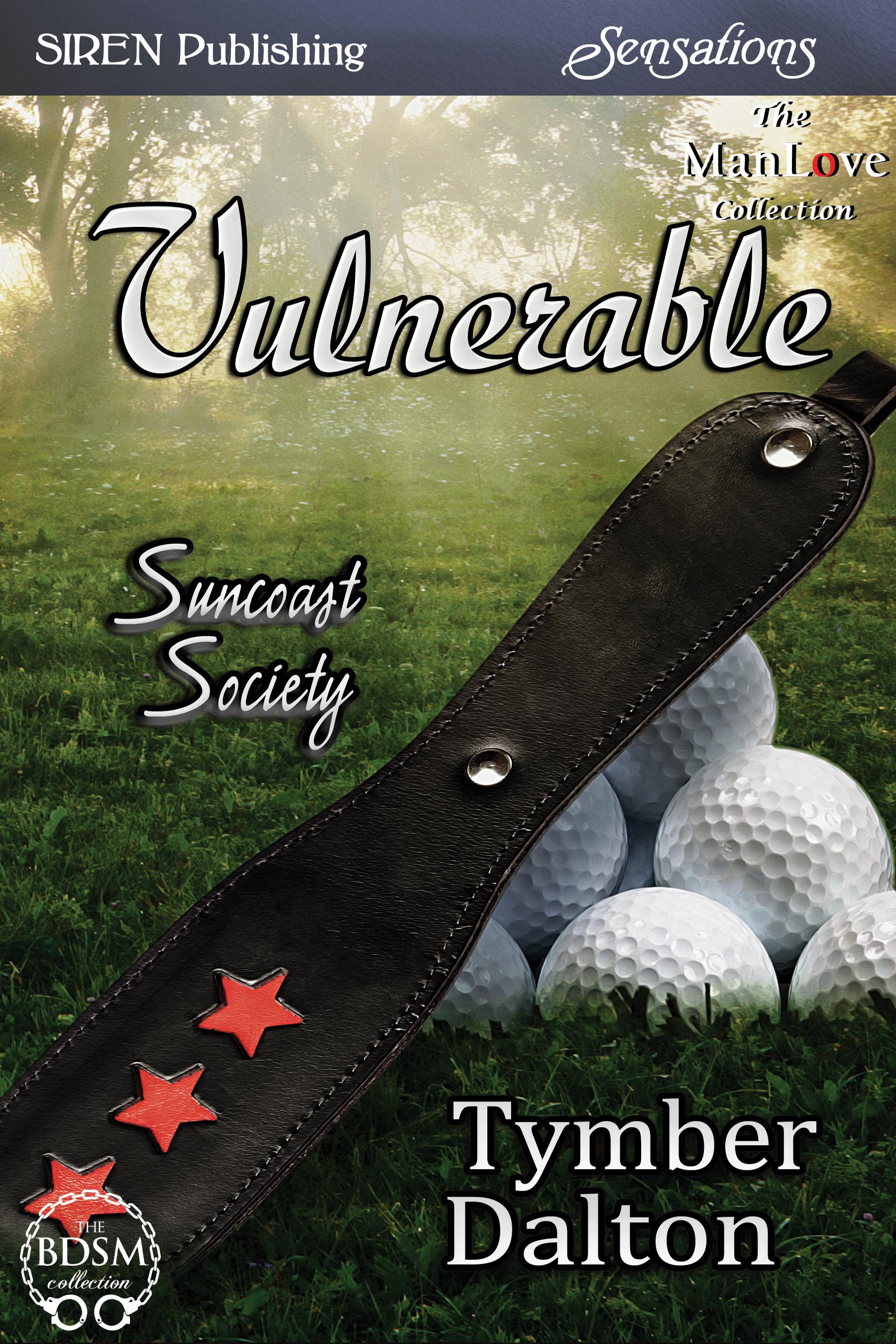 Vulnerable book cover