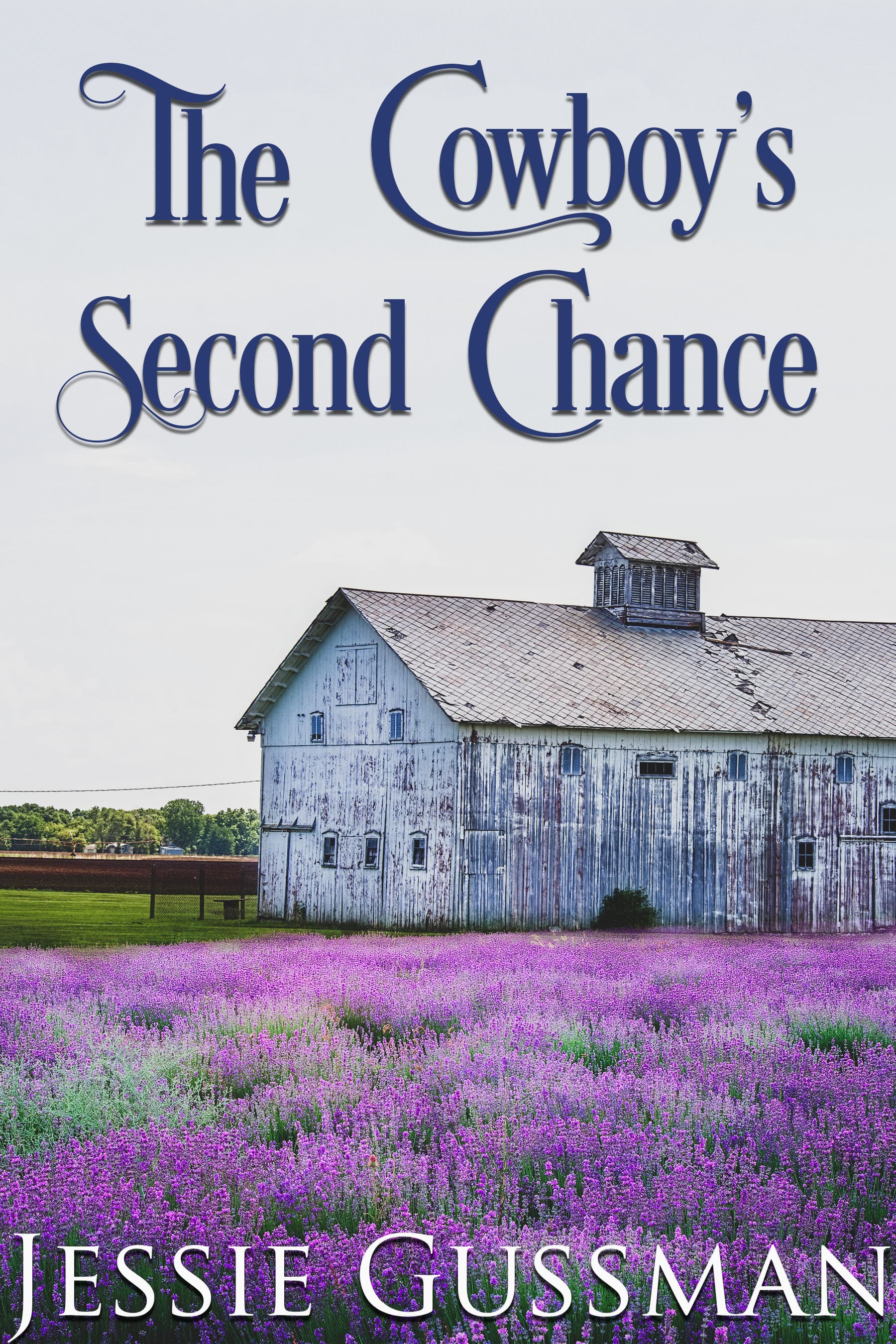 The Cowboy's Second Chance book cover