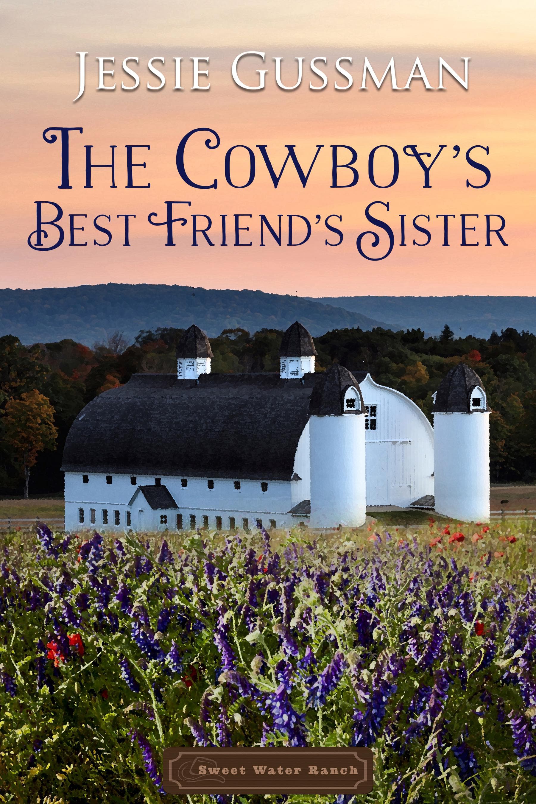 The Cowboy's Best Friend's Sister book cover