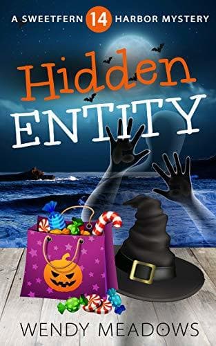 Hidden Entity book cover