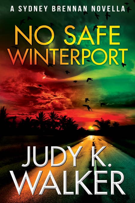 No Safe Winterport book cover