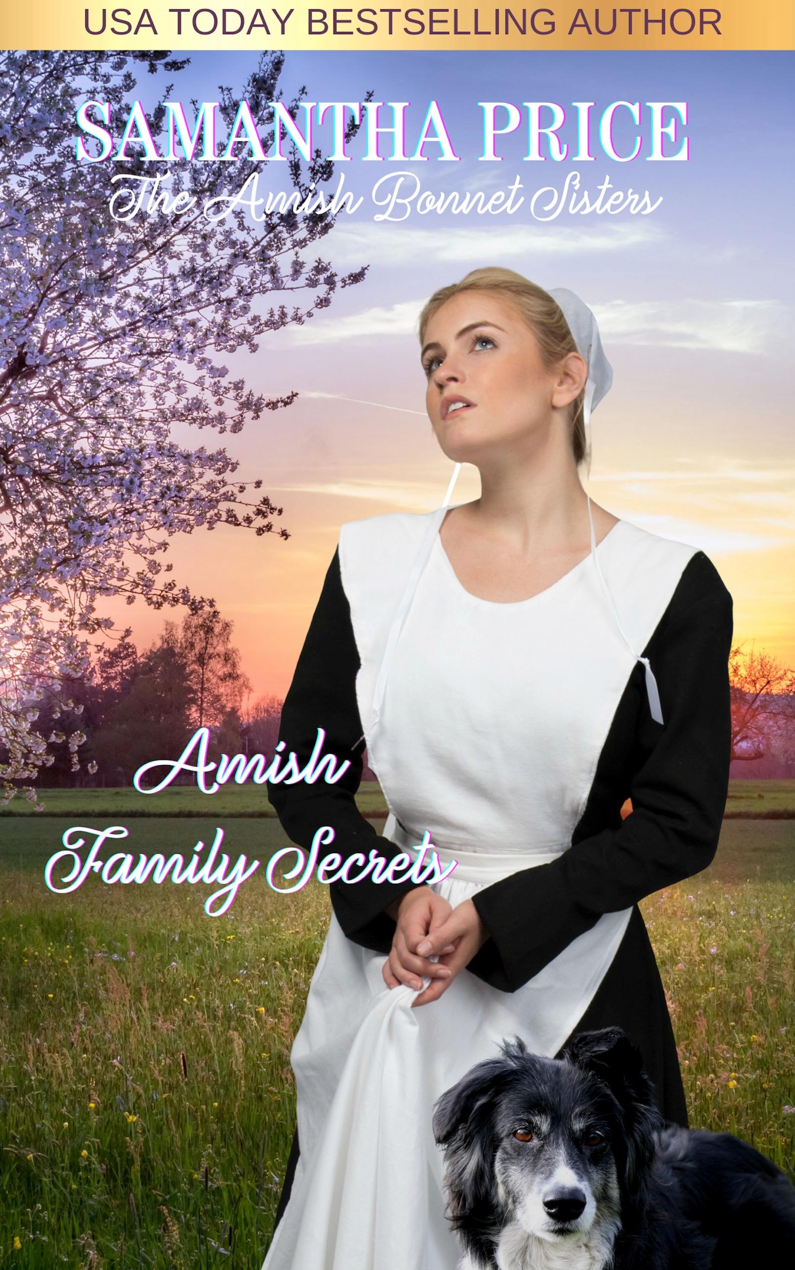 Amish Family Secrets book cover