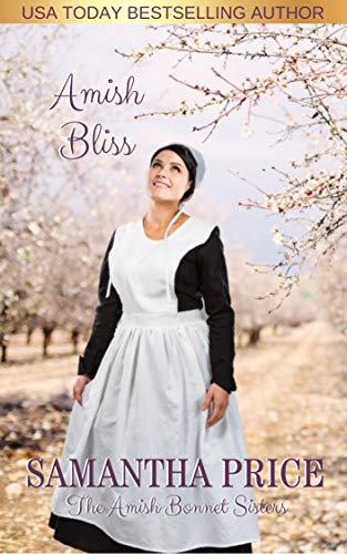 Amish Bliss book cover