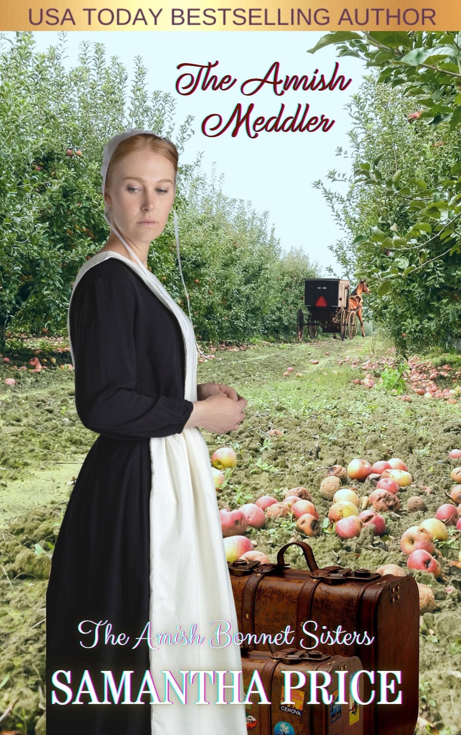 The Amish Meddler book cover