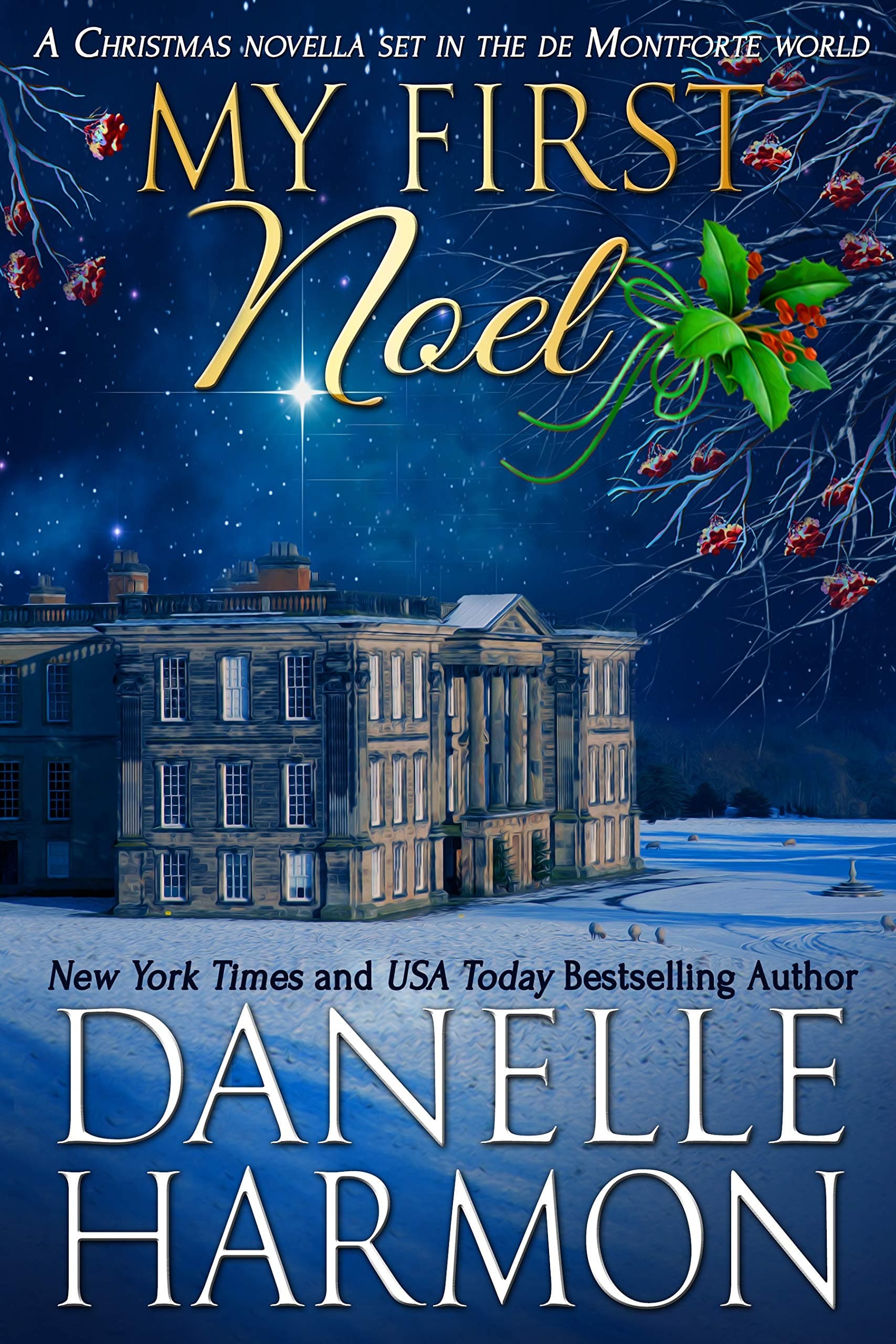 My First Noel book cover