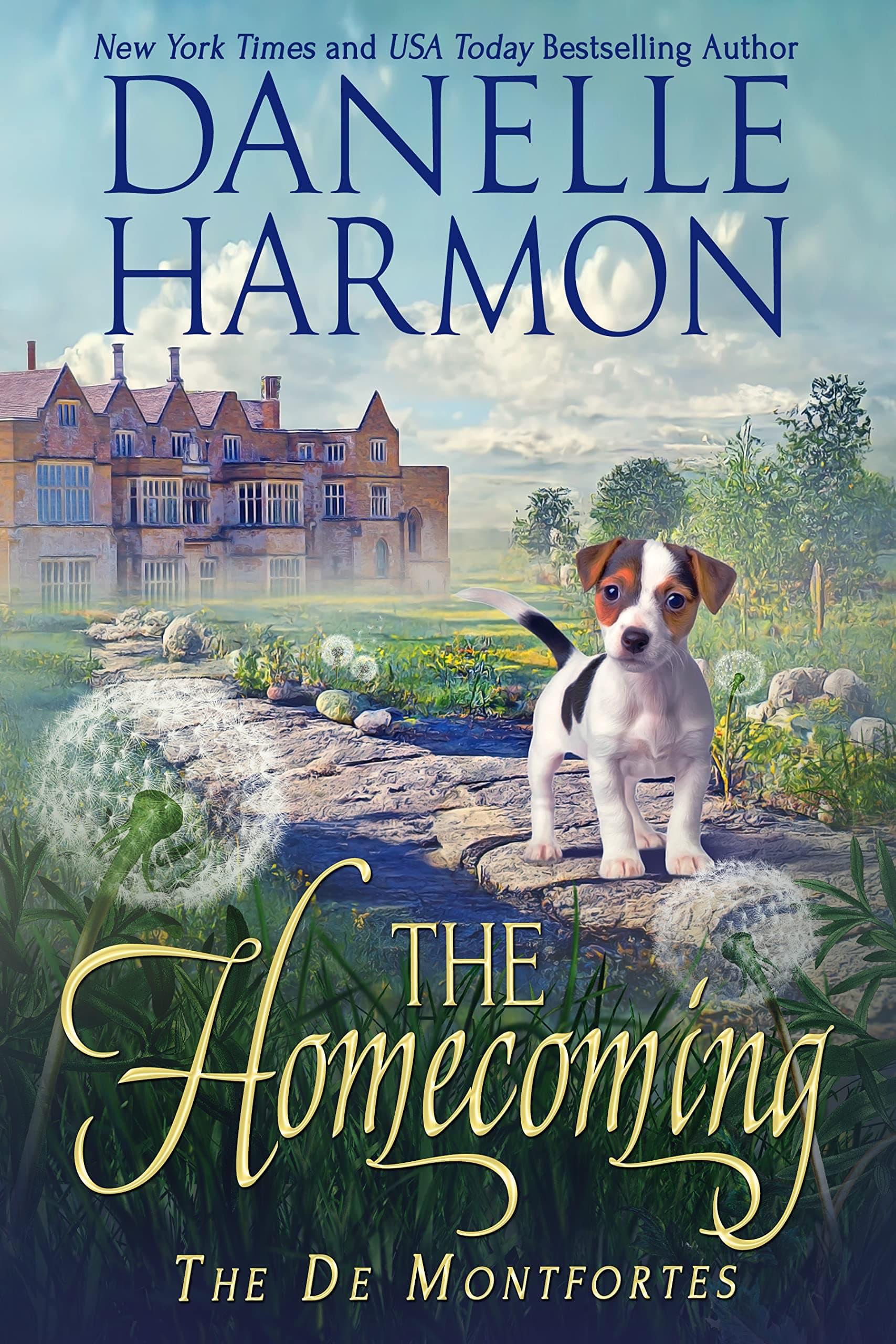 The Homecoming book cover