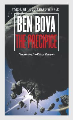 The Precipice: A Novel book cover