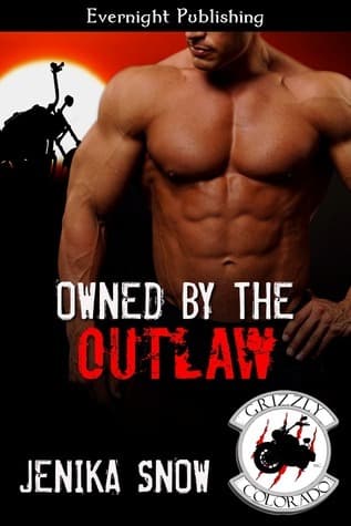 Owned by the Outlaw book cover