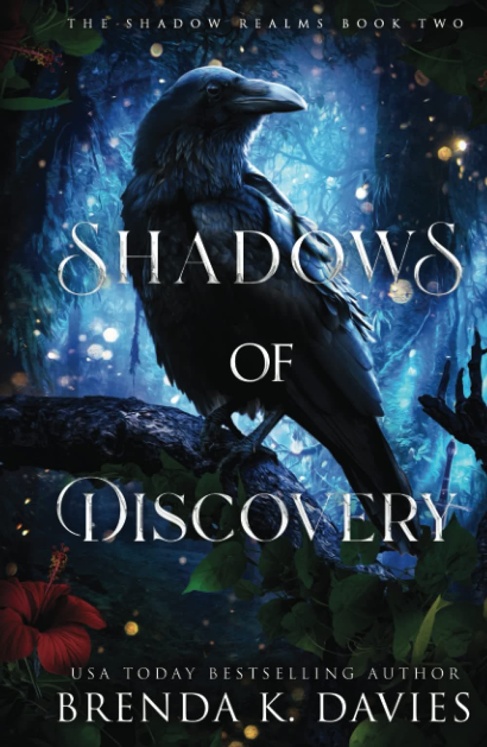 Shadows of Discovery