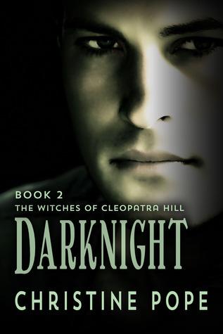 Darknight book cover