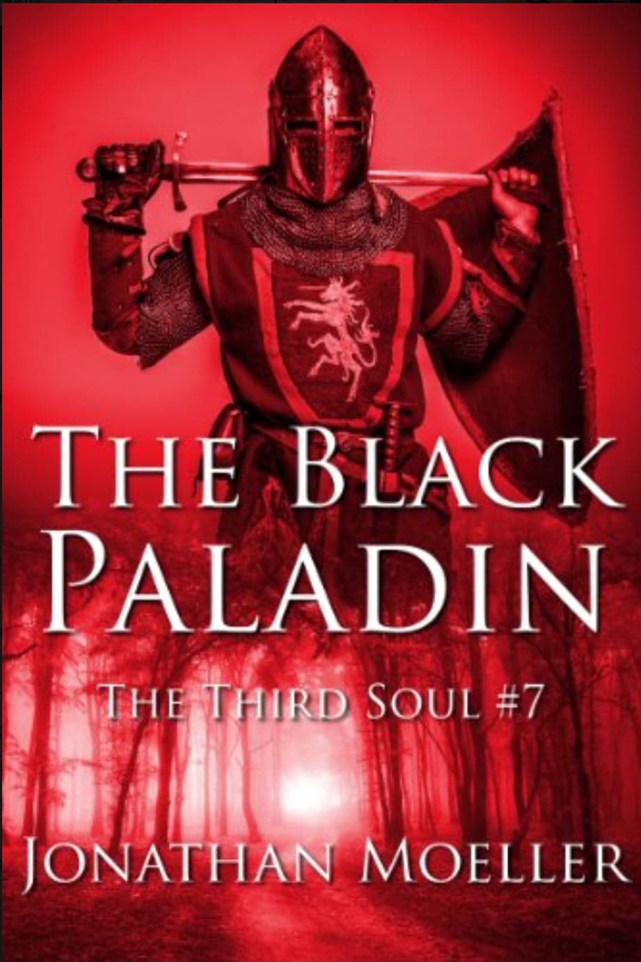 The Black Paladin book cover