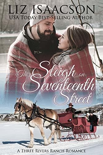 The Sleigh on Seventeenth Street book cover