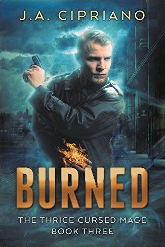 Burned book cover