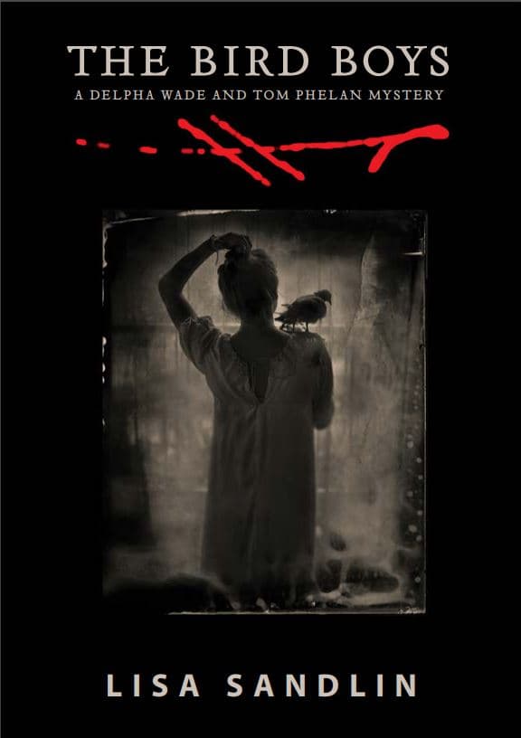 The Bird Boys book cover