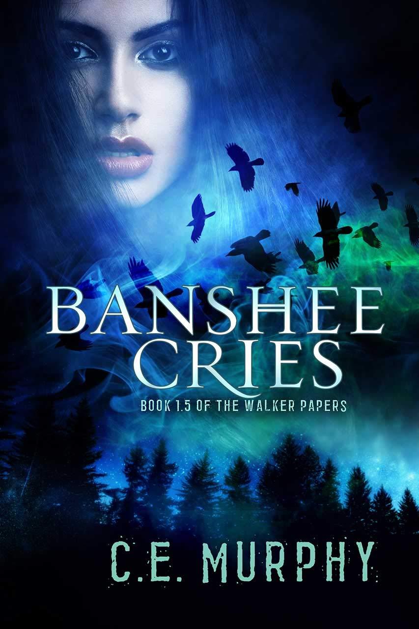 Banshee Cries book cover