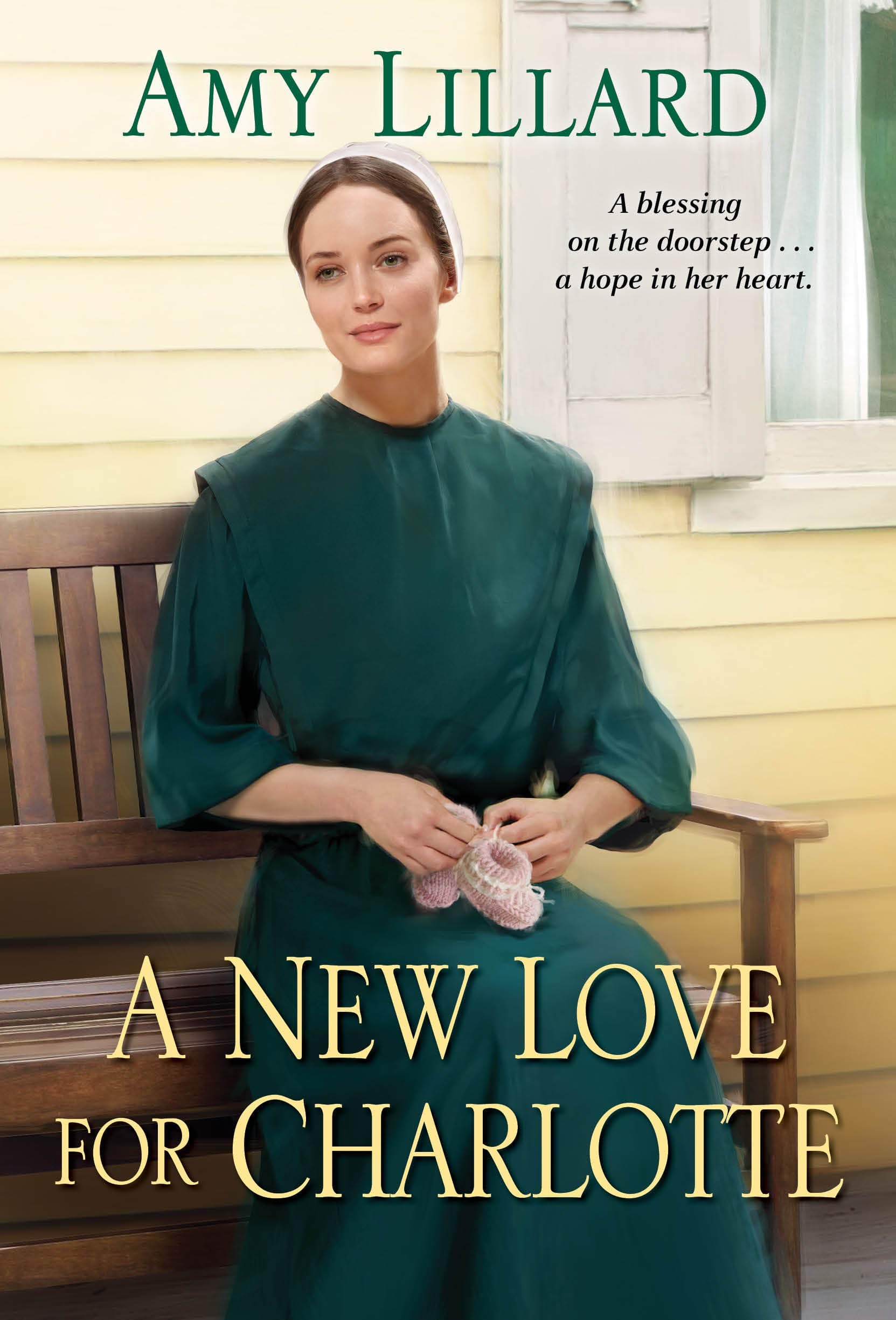 A New Love for Charlotte book cover