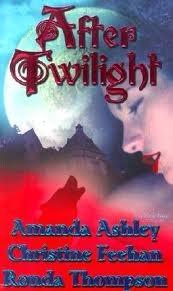 After Twilight book cover